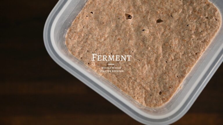 全麥酸種續種Sourdough Starter Refreshing